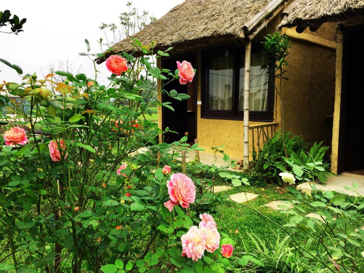 May Homestay - Tam Coc Local Village Ninh Binh Exterior foto